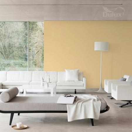 CUD MIÓD 2.5L DULUX EASYCARE