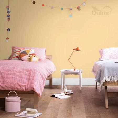 CUD MIÓD 2.5L DULUX EASYCARE