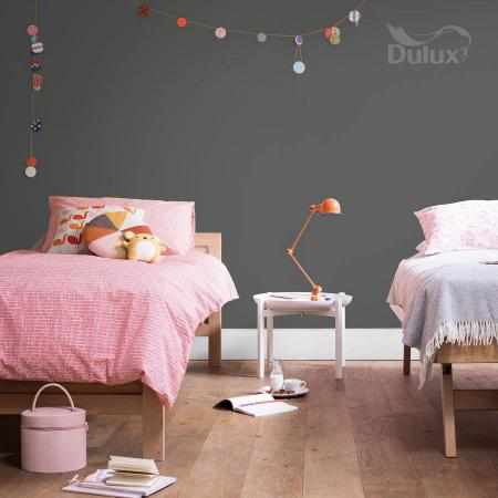 NAJMOCNIEJSZY SZARY 2.5L DULUX EASYCARE NAJMOCNIEJSZY SZARY 2.5L DULUX EASYCARE