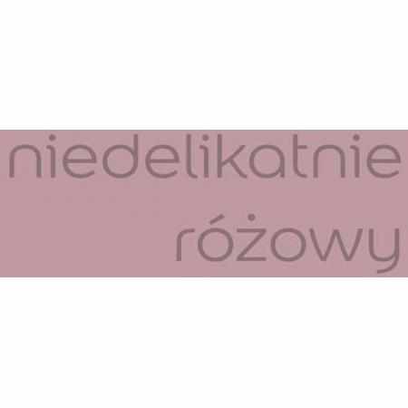 SAMCHEM NIEDELIKATNIE RÓŻOWY 2.5L DULUX EASYCARE DULUX Farby NIEDELIKATNIE RÓŻOWY 2.5L DULUX EASYCARE Wydajność: 14 m2/LCzas