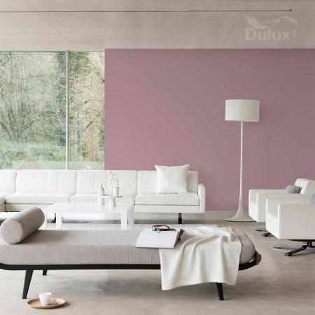 NIEDELIKATNIE RÓŻOWY 2.5L DULUX EASYCARE