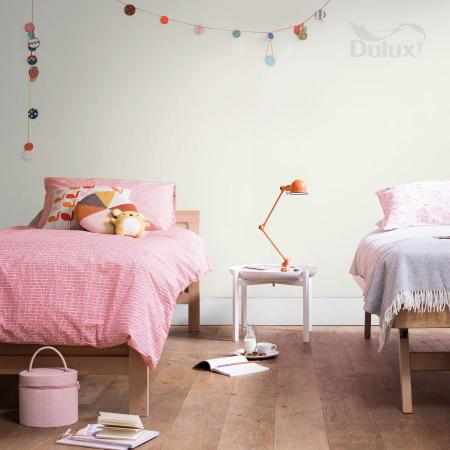 EASYCARE NIESKAZITELNA BIEL 2.5L DULUX