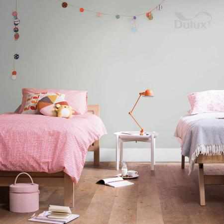 ODPORNY POPIELATY 2.5L DULUX EASYCARE