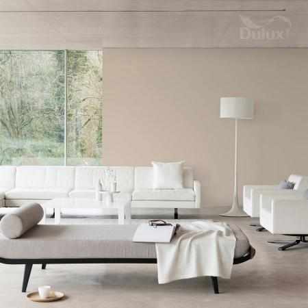 PIASKOWA MOC 2.5L DULUX EASYCARE