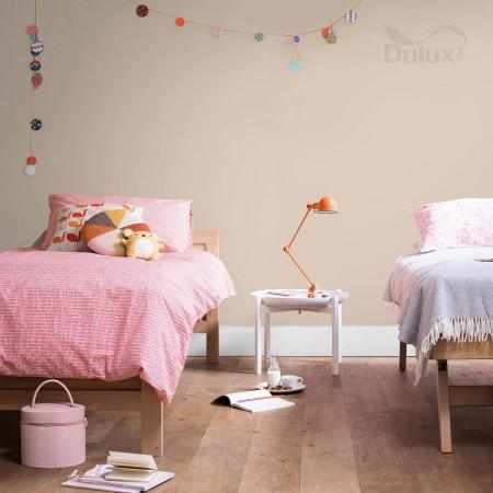 PIASKOWA MOC 2.5L DULUX EASYCARE