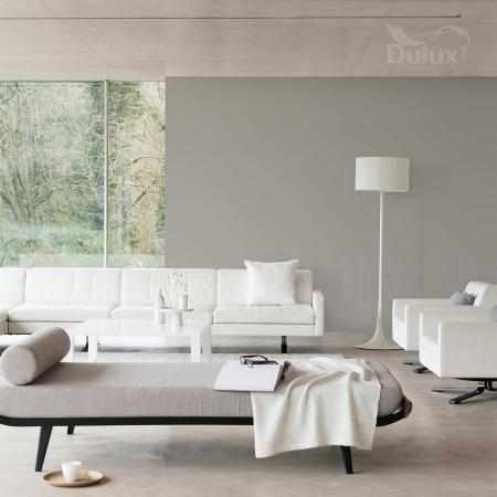 POTĘGA ZMIERZCHU 2.5L DULUX EASYCARE
