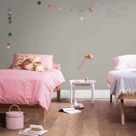 POTĘGA ZMIERZCHU 2.5L DULUX EASYCARE