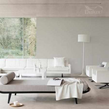SOLIDNY SZARY BEŻ 2.5L DULUX EASYCARE