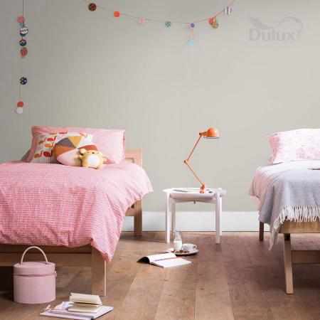SOLIDNY SZARY BEŻ 2.5L DULUX EASYCARE