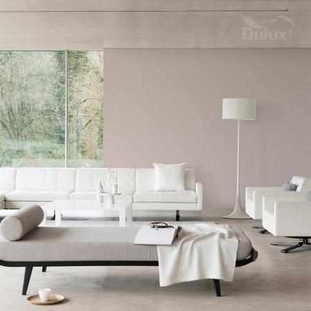 RÓŻANY NA TEST 2.5L DULUX EASYCARE RÓŻANY NA TEST 2.5L DULUX EASYCARE