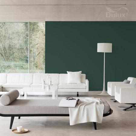 ZIELEŃ BOHO 2.5L DULUX EASYCARE