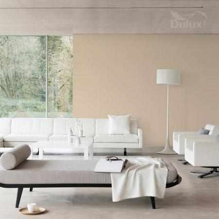 WYSTRZAŁOWY SZAMPAŃSKI 5L DULUX EASYCARE WYSTRZAŁOWY SZAMPAŃSKI 5L DULUX EASYCARE