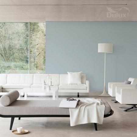 KOPALNIA SREBRA 5L DULUX EASYCARE KOPALNIA SREBRA 5L DULUX EASYCARE
