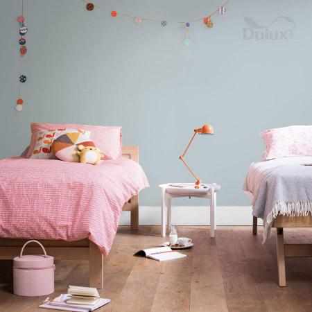 KOPALNIA SREBRA 5L DULUX EASYCARE KOPALNIA SREBRA 5L DULUX EASYCARE