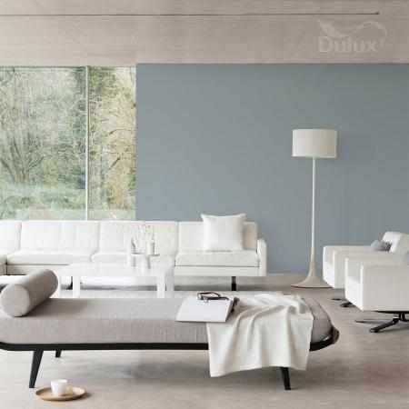 MGŁA ABSOLUTNA 5L DULUX EASYCARE MGŁA ABSOLUTNA 5L DULUX EASYCARE