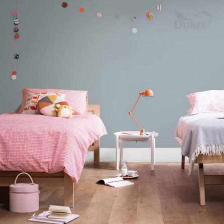 MGŁA ABSOLUTNA 5L DULUX EASYCARE MGŁA ABSOLUTNA 5L DULUX EASYCARE