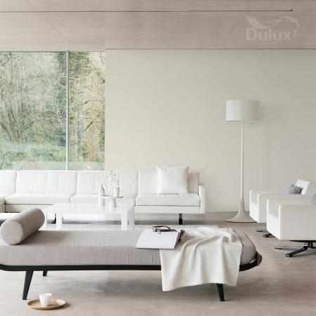 NIEBYWALE ŚMIETANKOWY 5L DULUX EASYCARE NIEBYWALE ŚMIETANKOWY 5L DULUX EASYCARE