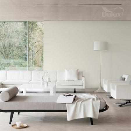 NIETUZINKOWE ECRU 5L DULUX EASYCARE