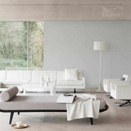 ODPORNY POPIELATY 5L DULUX EASYCARE ODPORNY POPIELATY 5L DULUX EASYCARE