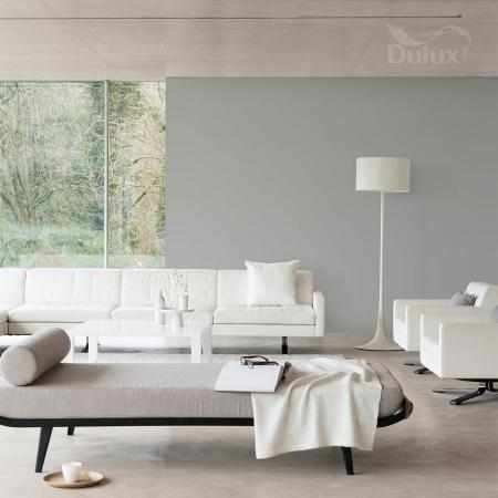 STALOWA SZAROŚĆ 5L DULUX EASYCARE