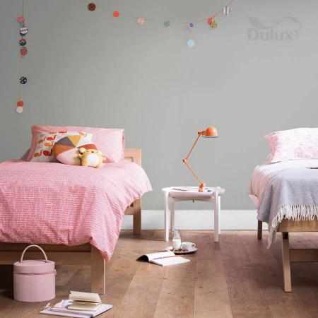 STALOWA SZAROŚĆ 5L DULUX EASYCARE