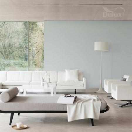 SZLACHETNA PLATYNA 5L DULUX EASYCARE SZLACHETNA PLATYNA 5L DULUX EASYCARE