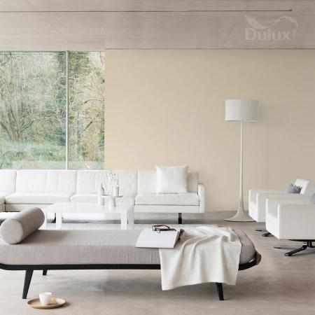 POPISOWY BISZKOPT 5L DULUX EASYCARE
