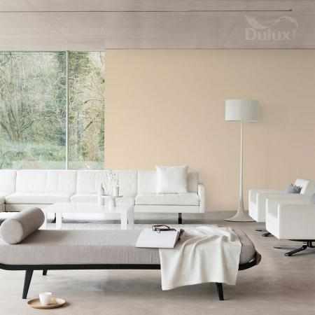 TOTALNIE KREMOWY 2.5L DULUX EASYCARE
