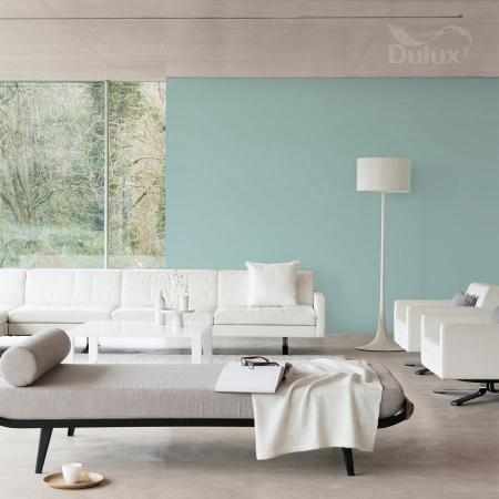 TU TURKUS 2.5L DULUX EASYCARE