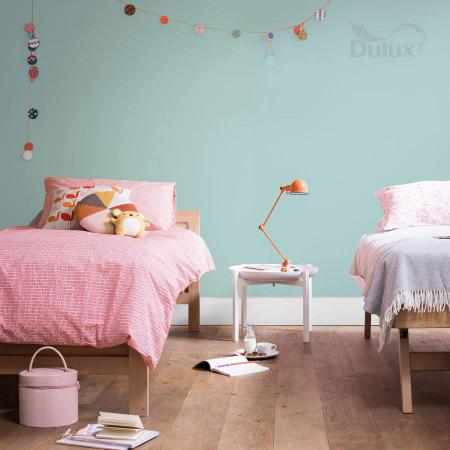 TU TURKUS 2.5L DULUX EASYCARE