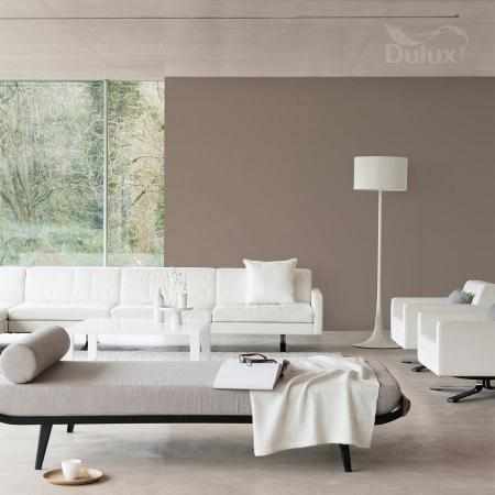 TWARDY ORZECH 2.5L DULUX EASYCARE