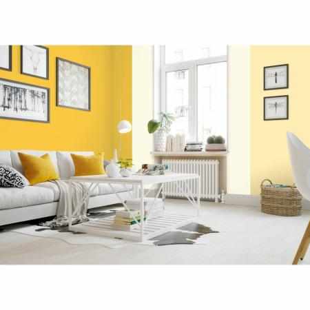 AKRYLIT W CYTRYNOWA BEZA 2.5L