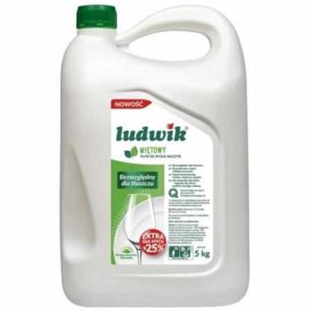 SAMCHEM LUDWIK PŁYN DO NACZYŃ 5KG MIĘTA Ludwik Płyny do naczyń LUDWIK PŁYN DO NACZYŃ 5KG MIĘTA