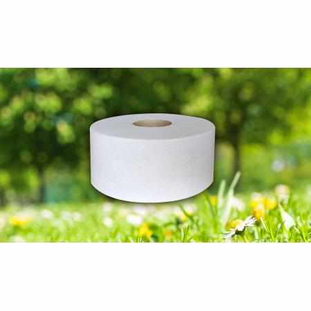 SAMCHEM PAP.TOAL.(1)CEL.BIALY DUZY A12 Oferta dla szkół PAP.TOAL.(1)CEL.BIALY DUZY A12 Dużo towarów w bazie. Opisy produktó
