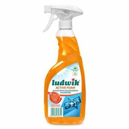 SAMCHEM LUDWIK Płyn do mycia zatłuszczonych powierzchni EGZOTYCZNE OWOCE 600 ml Ludwik Strona główna 