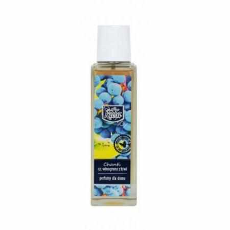 SAMCHEM Olejek zapachowy Chanti 100ml cza. winogron z kiwi CHANTI Strona główna 