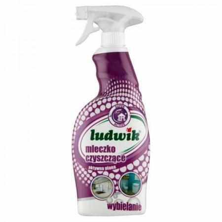 Ludwik Mleczko do Czyszczenia Super Active Spray 750ml|Środki czystości