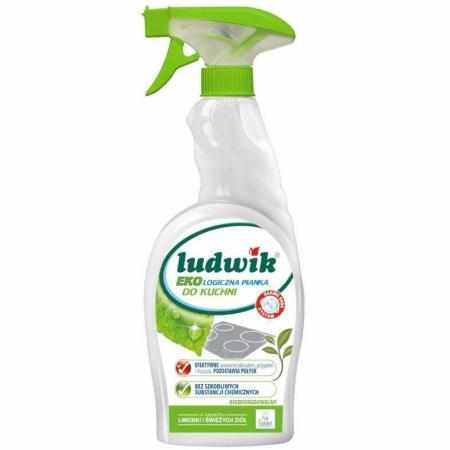 SAMCHEM LUDWIK EKO PIANKA DO KUCHNI 750ML Ludwik Strona główna LUDWIK Ekologiczna pianka do czyszczenia kuchni 750 ml - atom